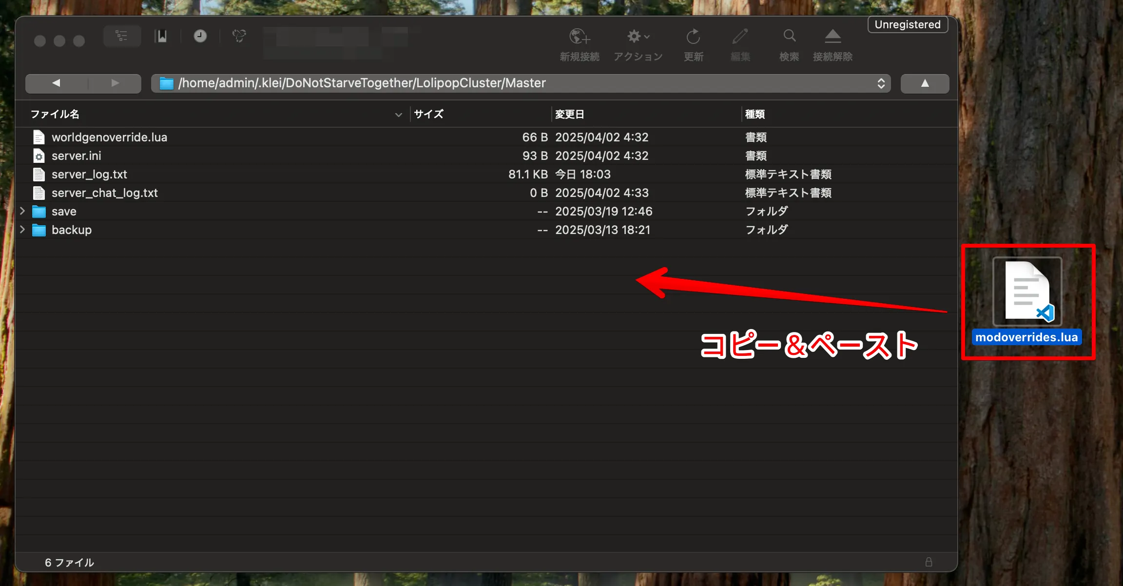 サーバー_ファイルを転送_コピー＆ペースト