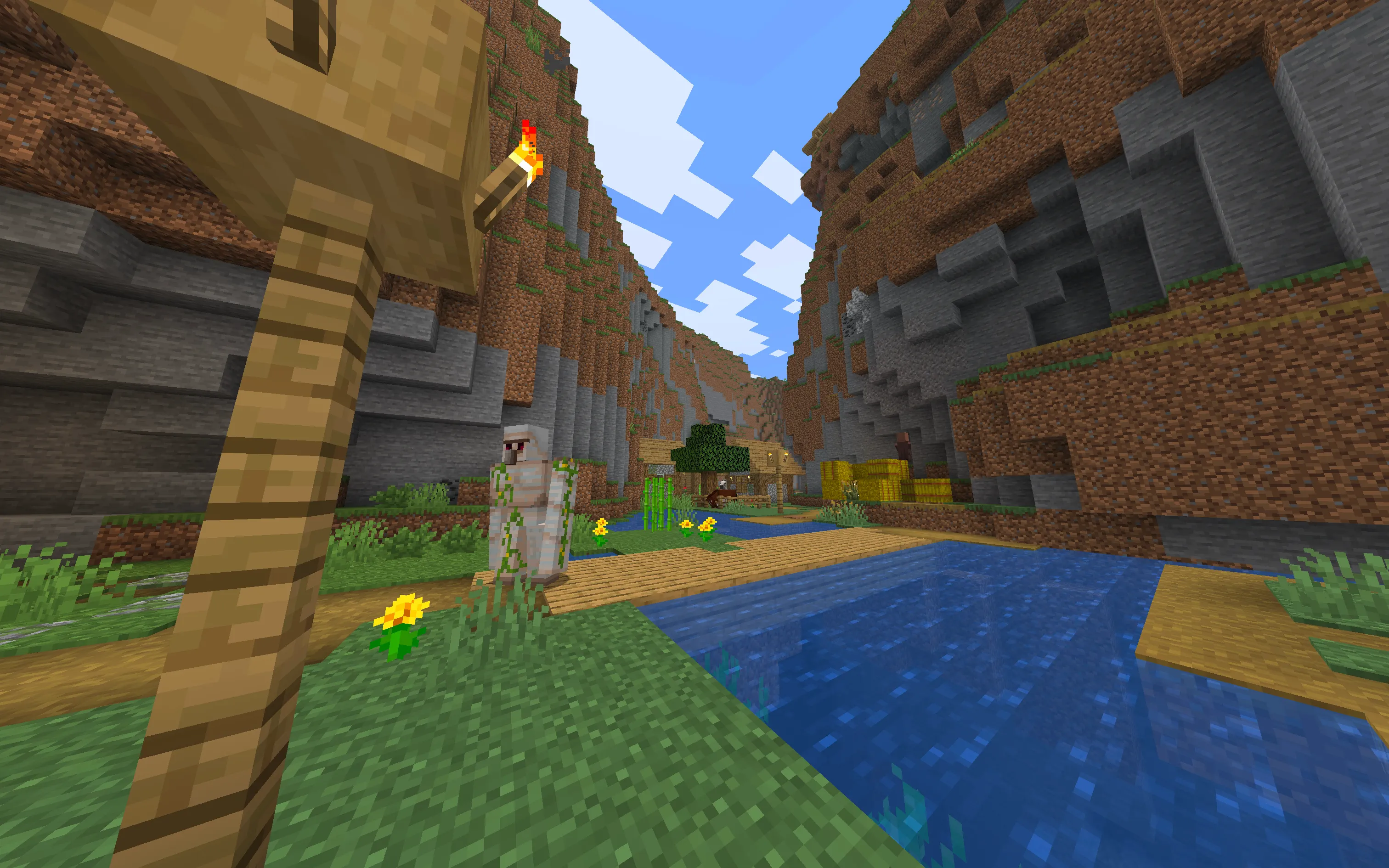 谷底から始まる冒険|巨大な村の神シード