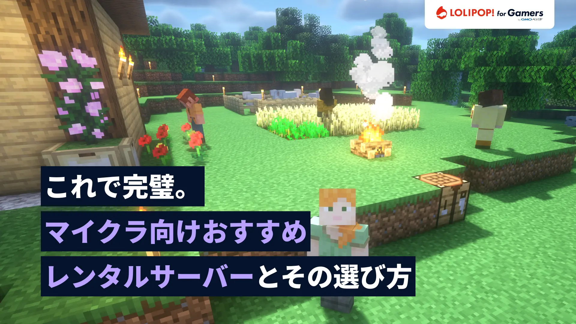 これで完璧。マイクラ向けおすすめレンタルサーバーとその選び方の画像