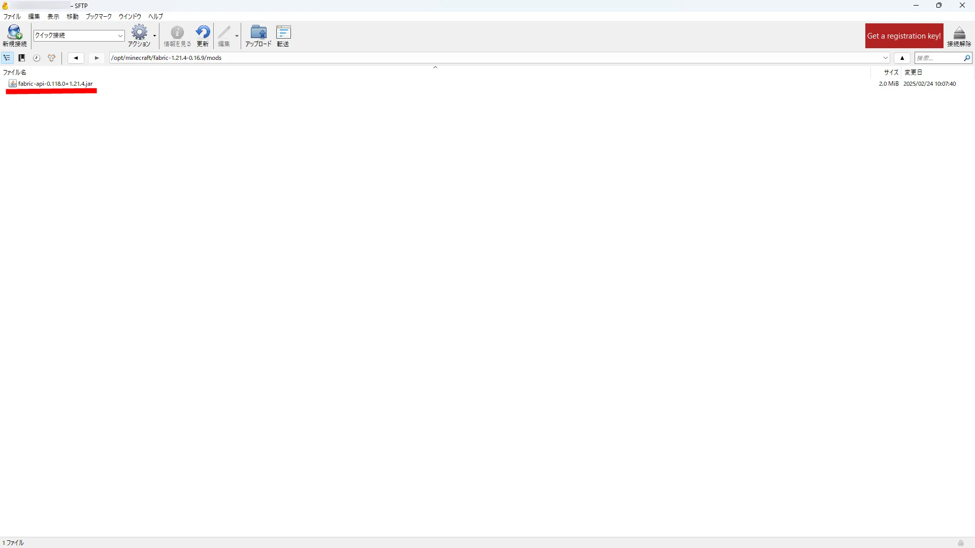 API_レンタルサーバー_APIを格納