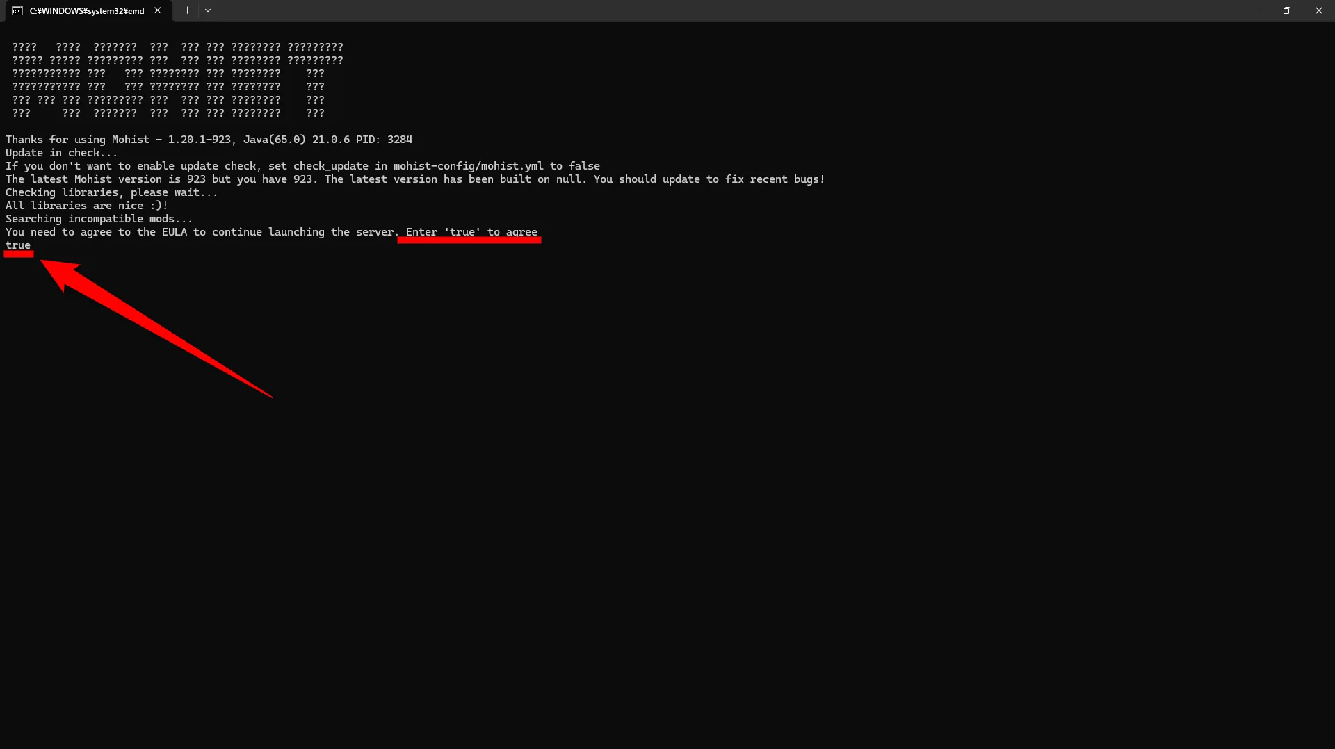 Mohist立て方_自分のPC_STEP4_「true」と入力