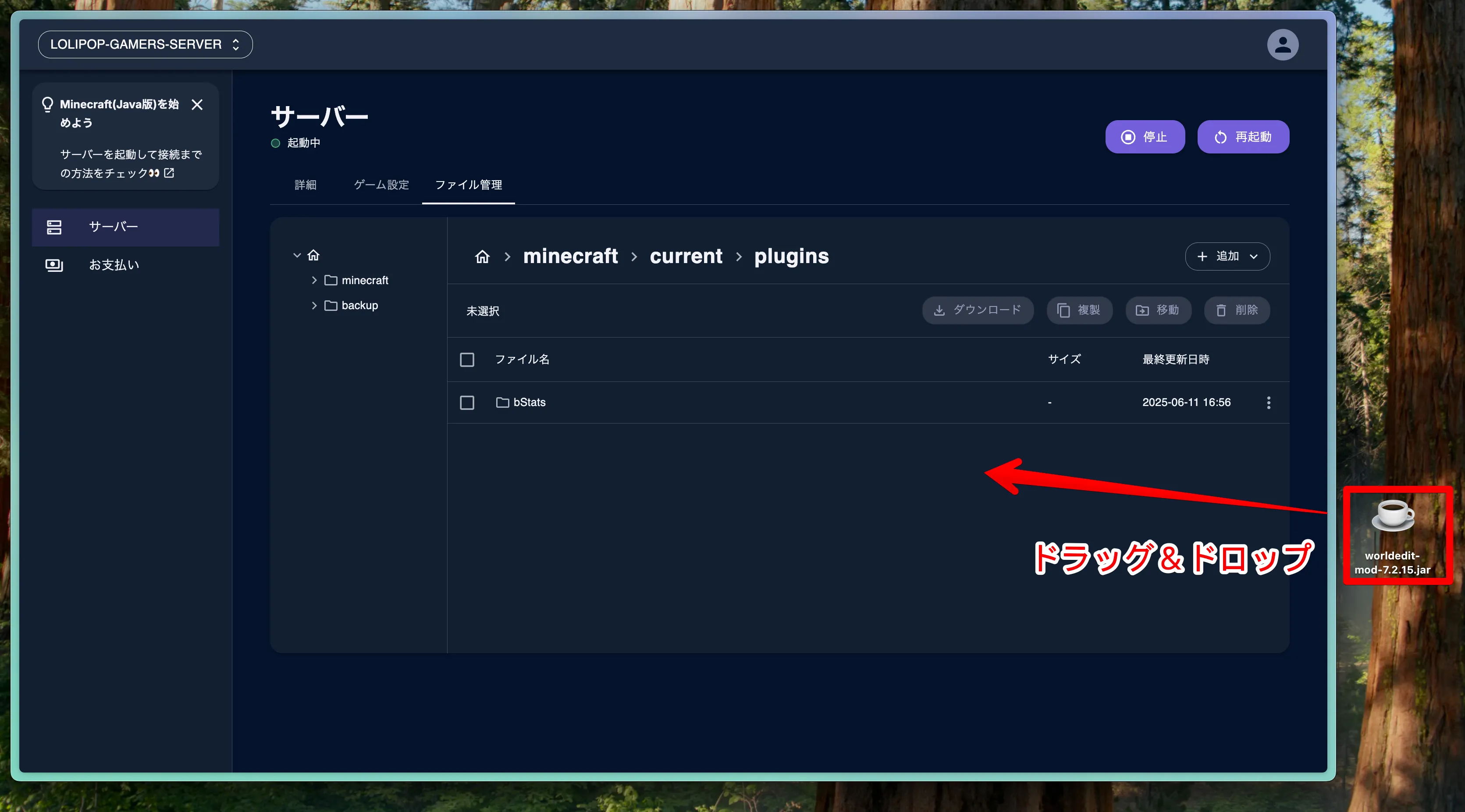 Mohist立て方_入れ方_レンサバ_プラグインファイルをアップロード