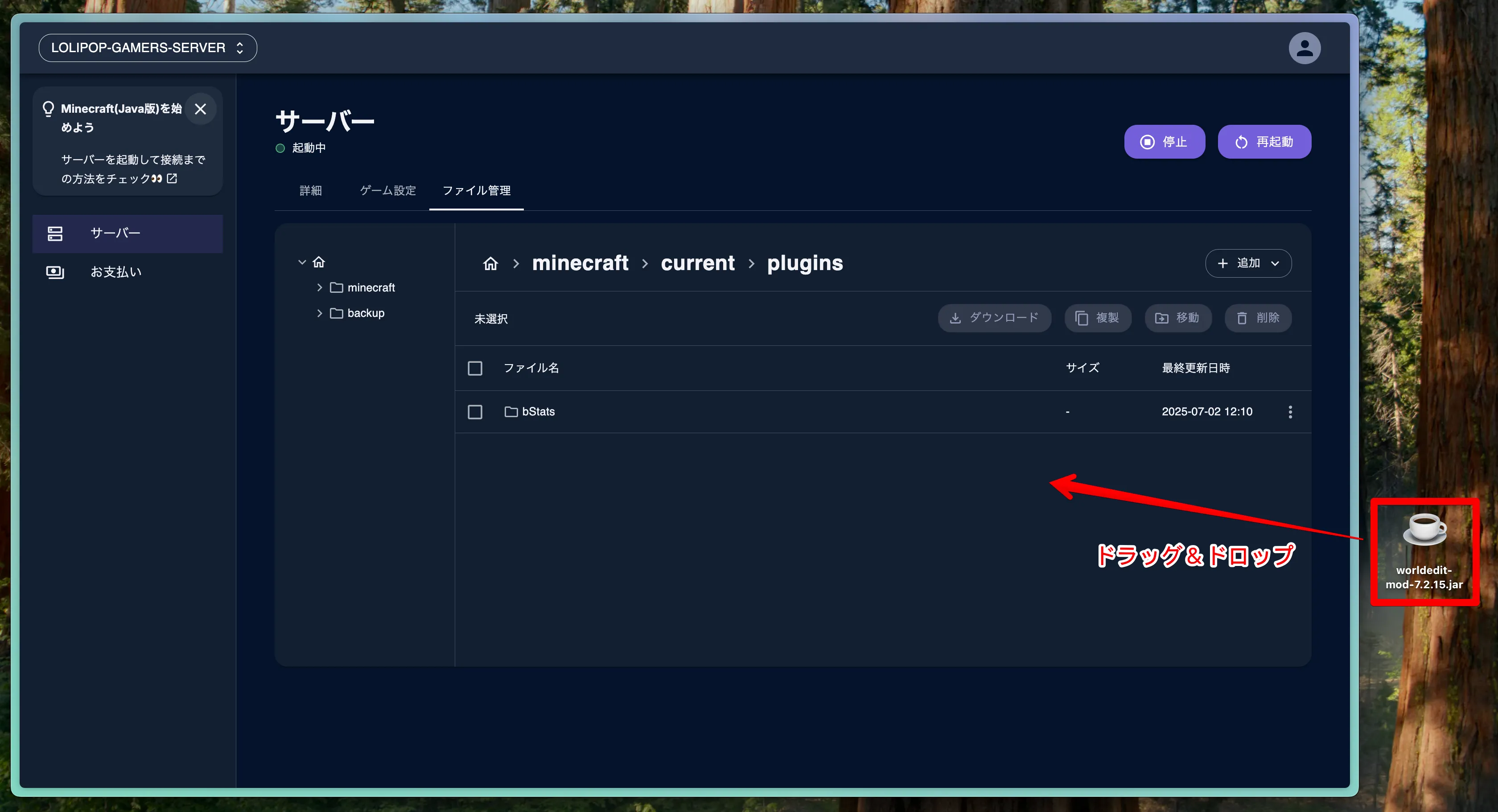 プラグイン導入_レンサバ_FM_プラグインをアップロード