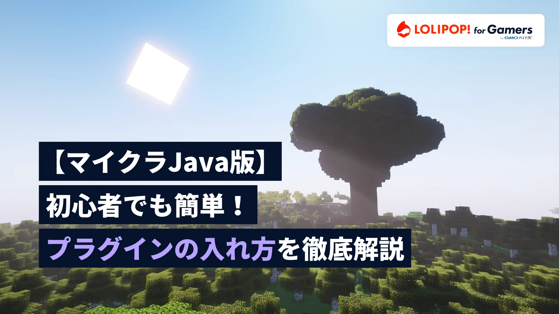 【マイクラJava版】初心者でも簡単！プラグインの入れ方を徹底解説の画像