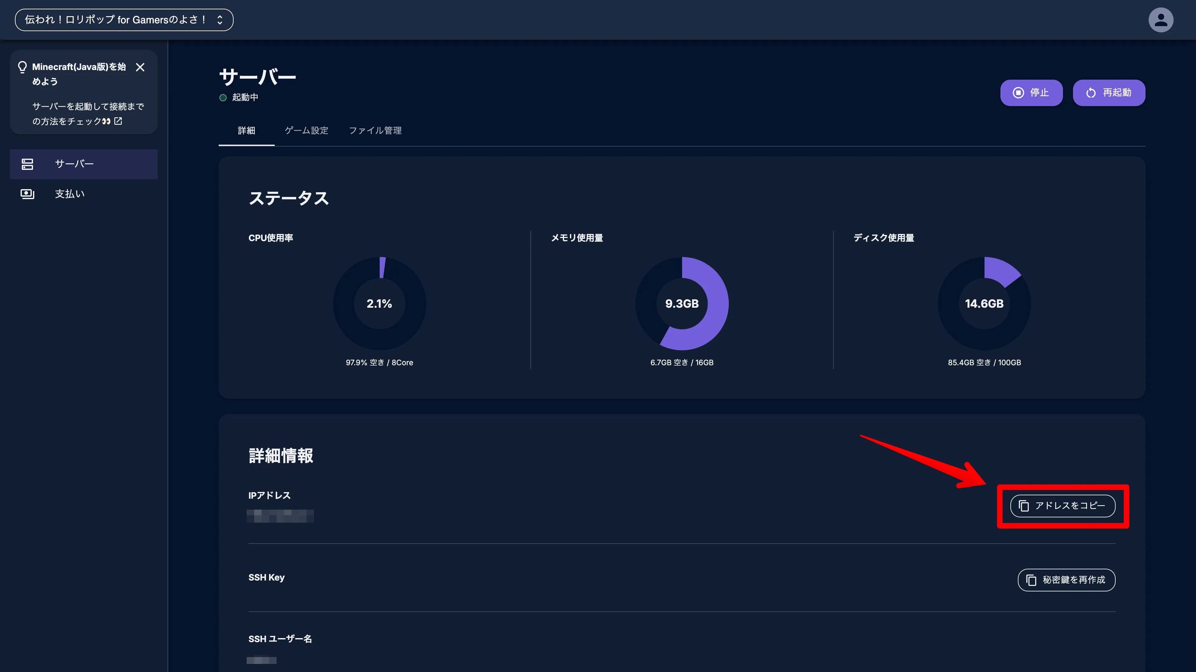ロリポップ for Gamers_IPアドレスをコピー
